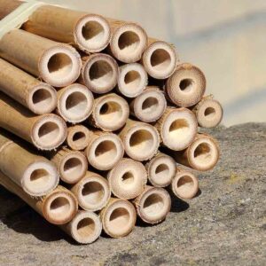 bamboe-stengels-15cm-sfeer