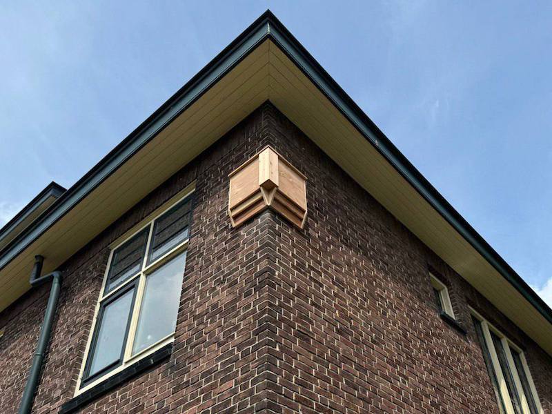 vleermuis hoekkast woning